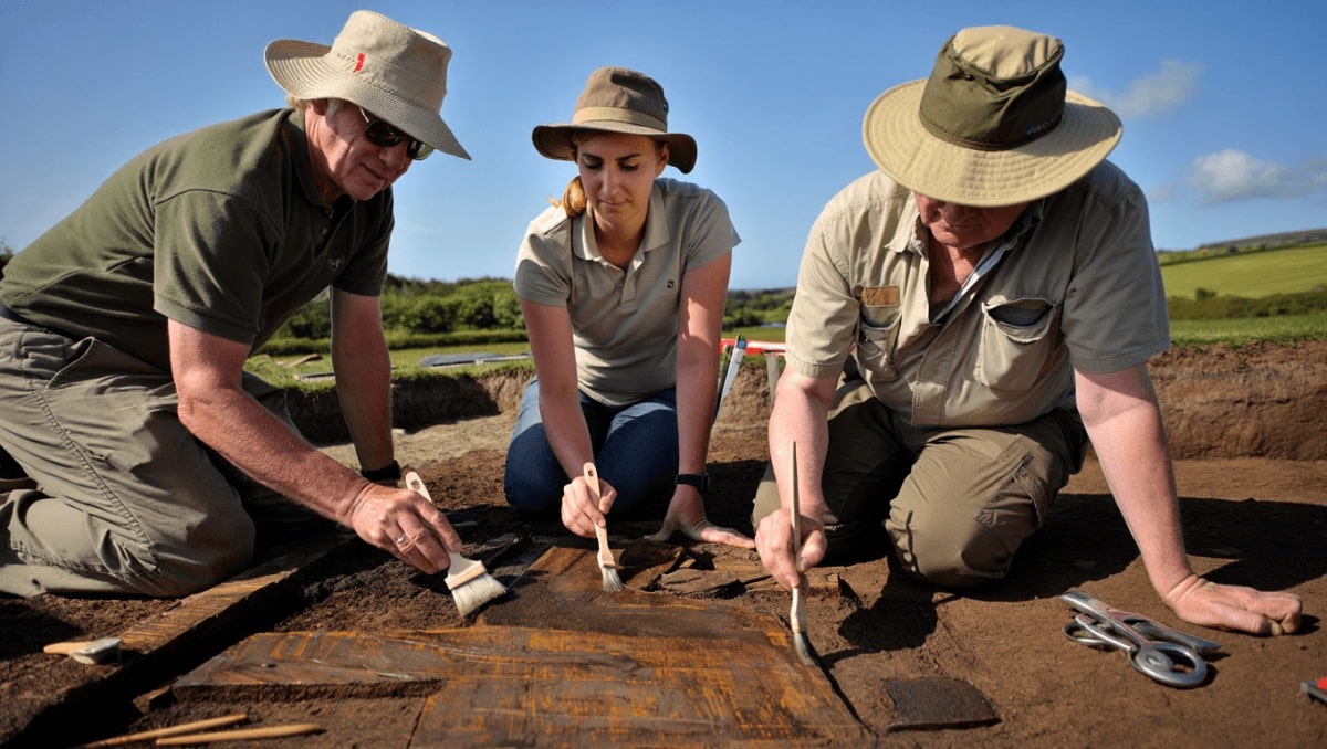 Archäologen in Warnwesten graben in rechteckigen Ausgrabungsflächen auf einem Feld mit Bäumen im Hintergrund