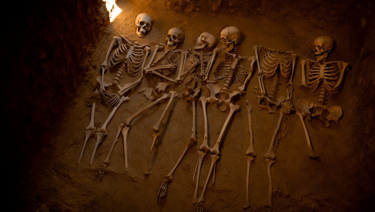 Luftaufnahme eines archäologischen Grabungsbereichs mit mehreren Skelettgruppen und farblich markierten Skelettumrissen darüber